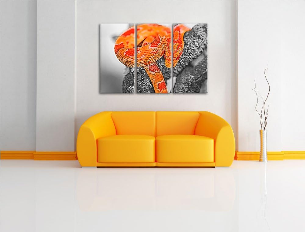schöne ruhende Kornnatter schwarz/weiss Deluxe 3-Teiler Leinwandbild 120x80 Bild auf Leinwand, XXL r
