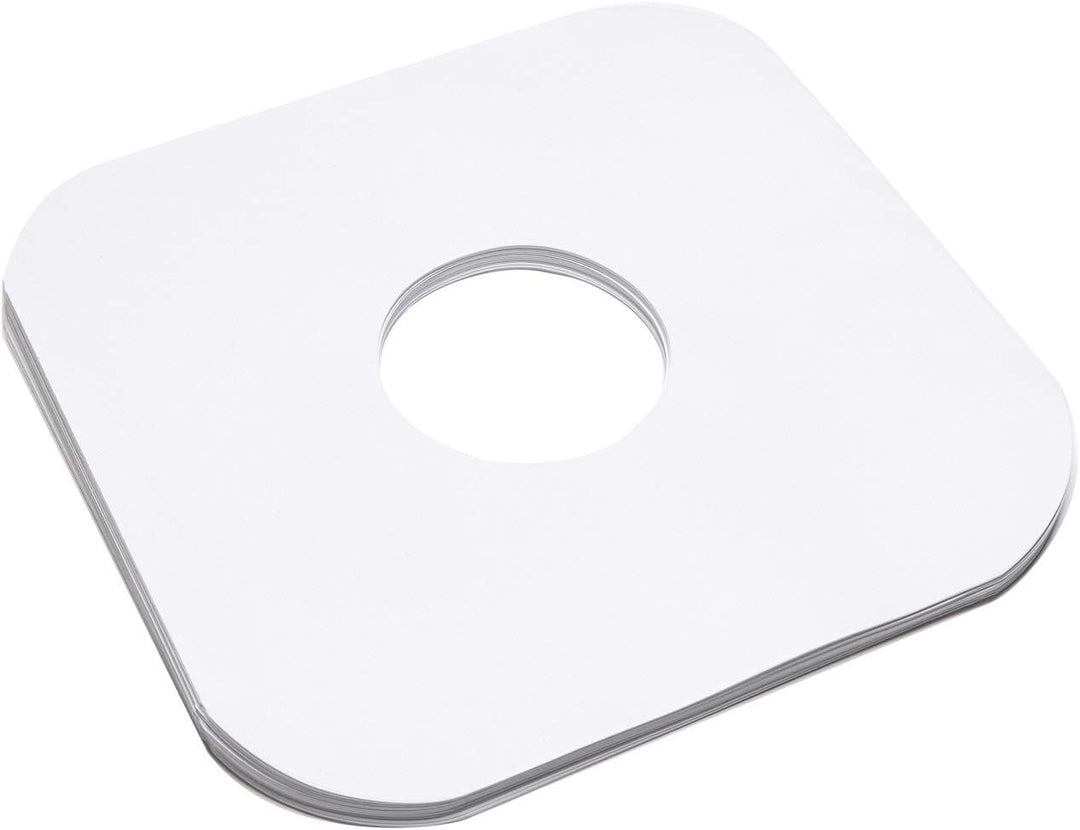 BIG FUDGE Innenhüllen für Schallplatten – 30 cm x 100 Stück – Schutz aus Vinyl aus dickem und säuref