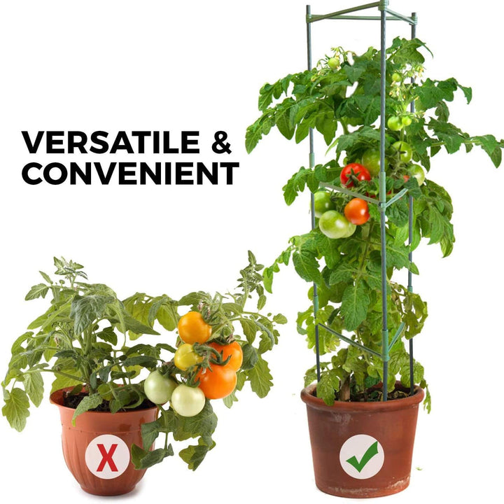 Pflanzenhalter, Rankhilfe Pflanzen, Robuste Tomatenkäfig, Gartenpflanze StützstangenKäfig Lange Stah