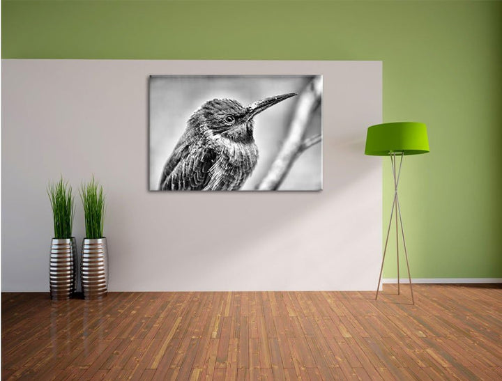 Pixxprint Kleiner tropischer Vogel / 100x70cm Leinwandbild bespannt auf Holzrahmen/Wandbild Kunstdru