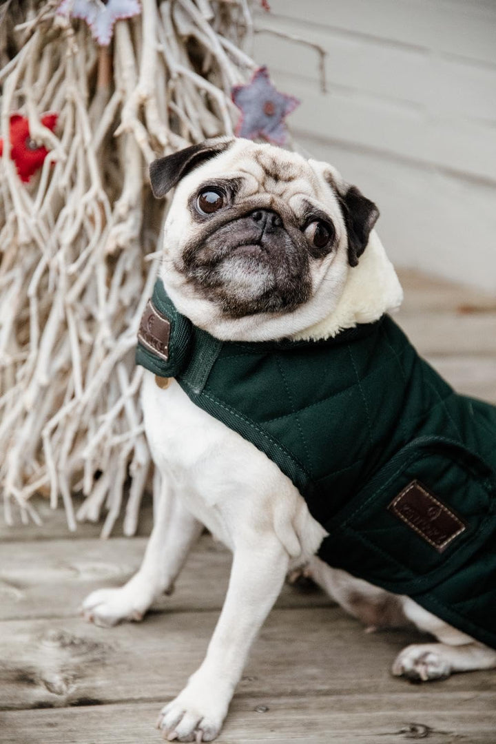 Kentucky Dogwear Hundemantel 160g, Grösse:M, Farbe:DarkGreen darkgreen M, darkgreen M