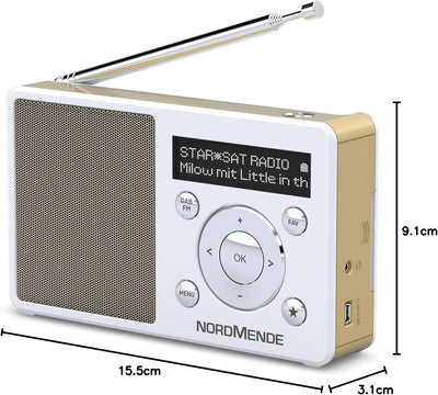 Nordmende Transita 100 tragbares und empfangsstarkes DAB Radio (DAB+, UKW, FM, Lautsprecher, Kopfhör