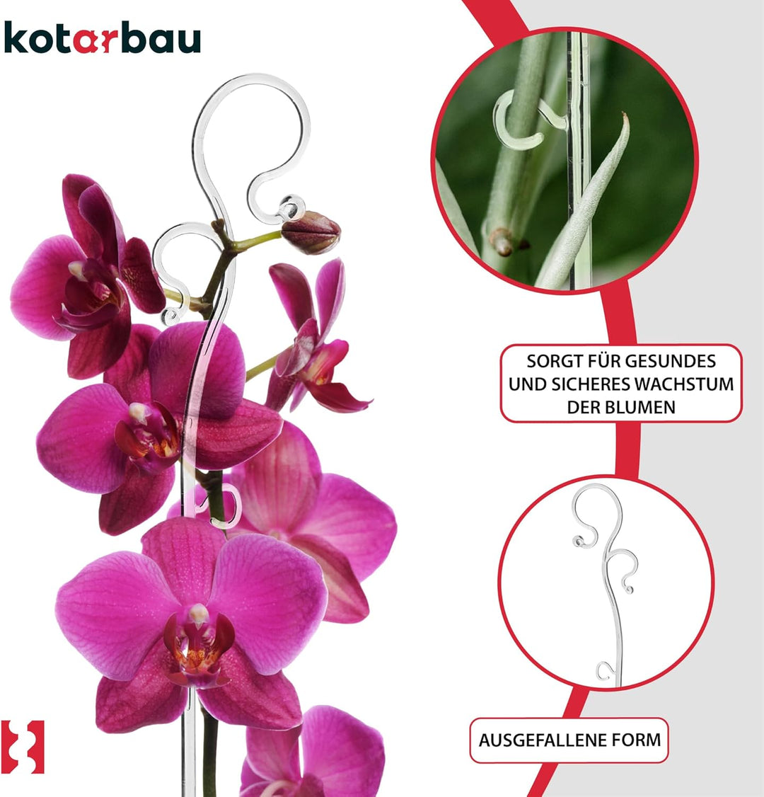 KOTARBAU® 6er Set Pflanzenstütze Transparent PVC 39 cm Blumenstütze Rankhilfe Zimmerpflanzen Blumens