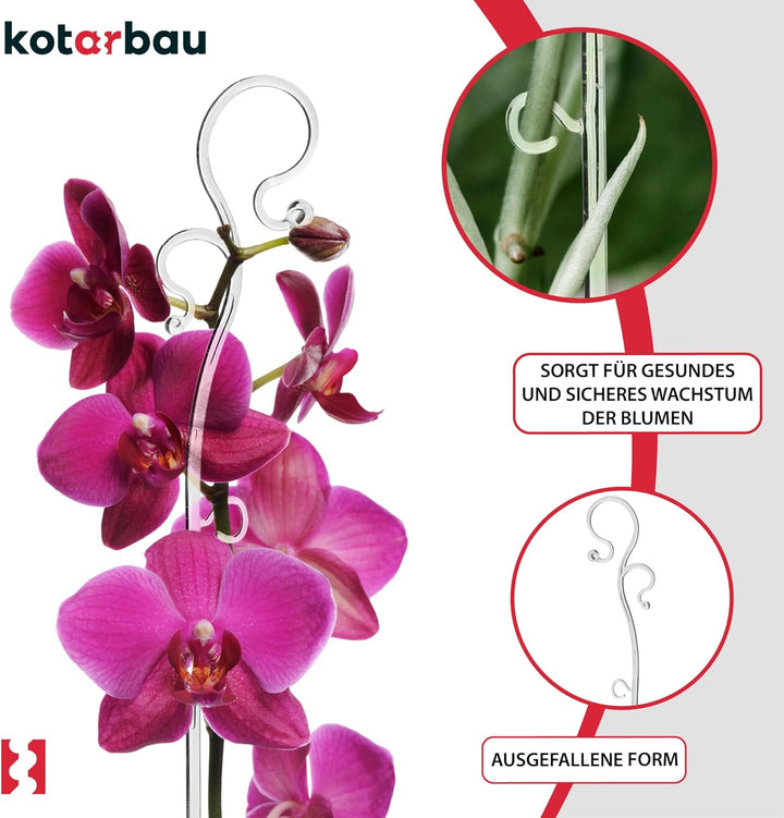 KOTARBAU® 6er Set Pflanzenstütze Transparent PVC 39 cm Blumenstütze Rankhilfe Zimmerpflanzen Blumens