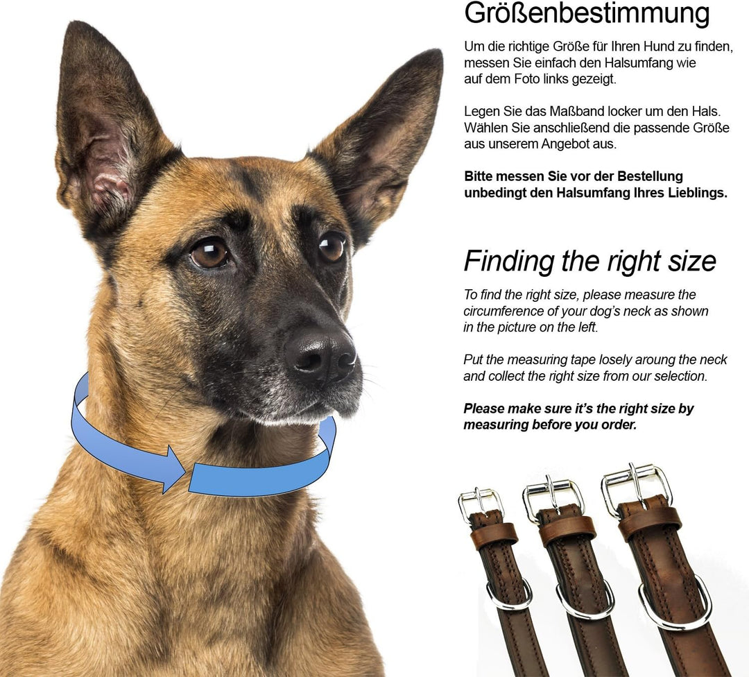Schnüffelfreunde Nala Halsband für Hunde aus Leder mit Applikation und Nieten, Hundehalsband für den