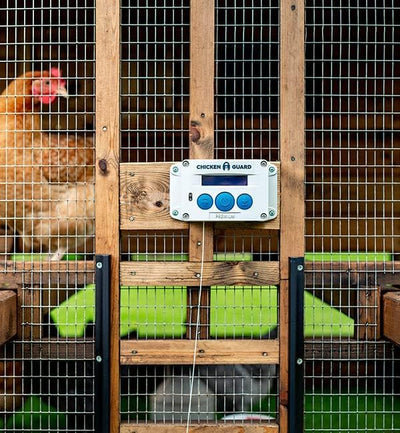 ChickenGuard® Standard Automatische Türöffner für den Hühnerstall, Automatische Hühnerklappe, mit Ti