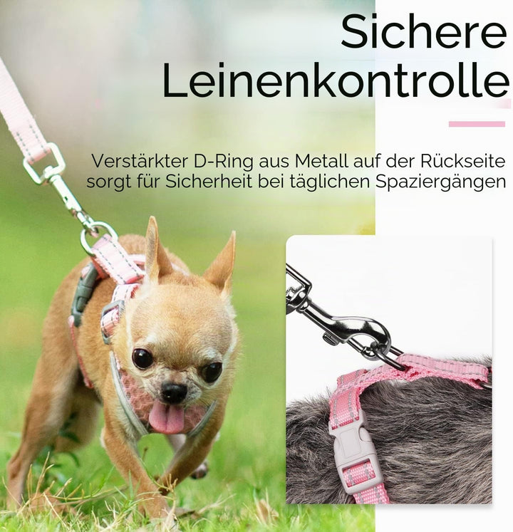 ThinkPet No-Pull Hundegeschirr Leine Set, Atmungsaktiv Brustgeschirr für Kleine Mittlere Grosse Hund