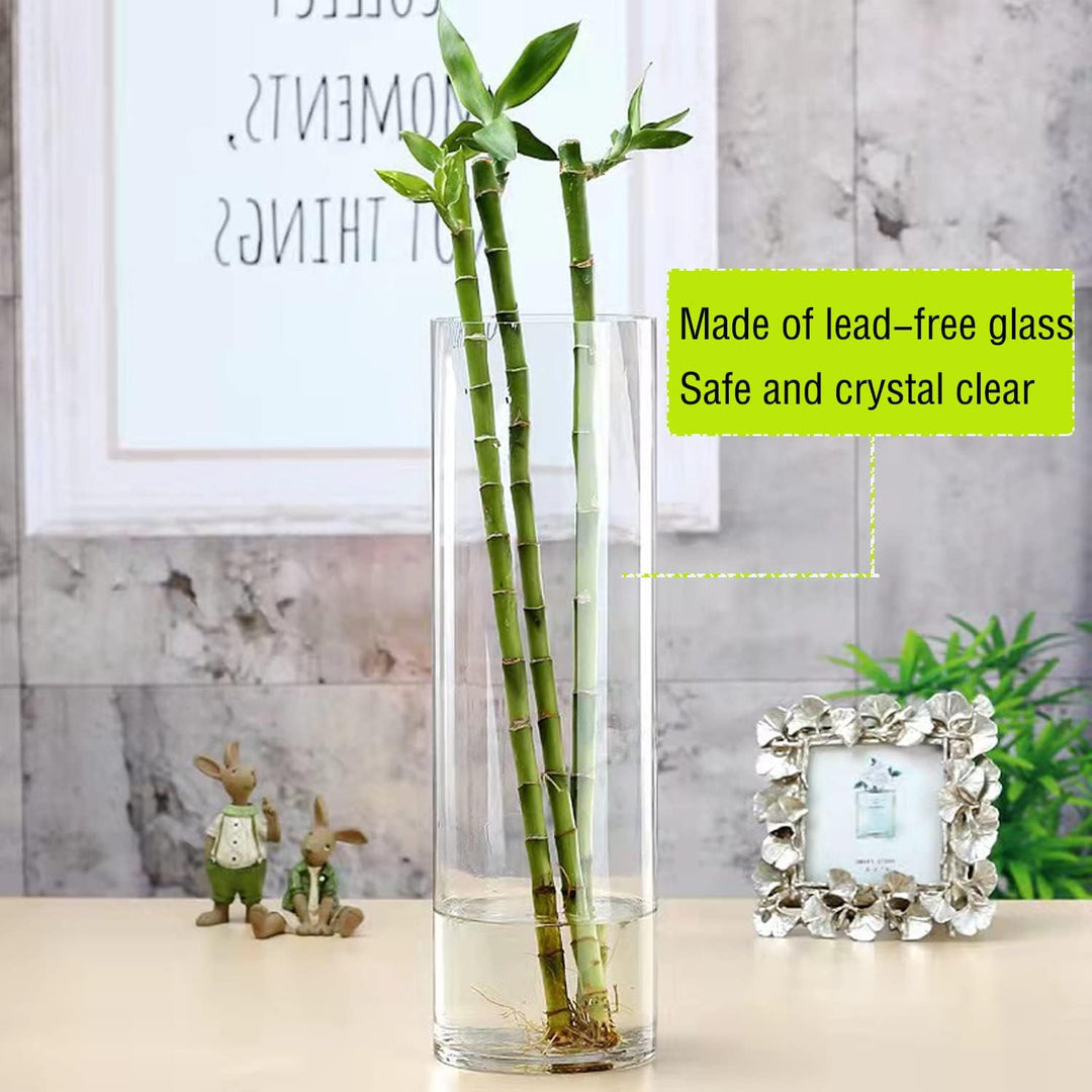 TSKDKIT Glas Blumenvase Modern Zylinder Vase, Handgemacht Kristall Vasen 20cm Hoch, Kerzenhalter Gla