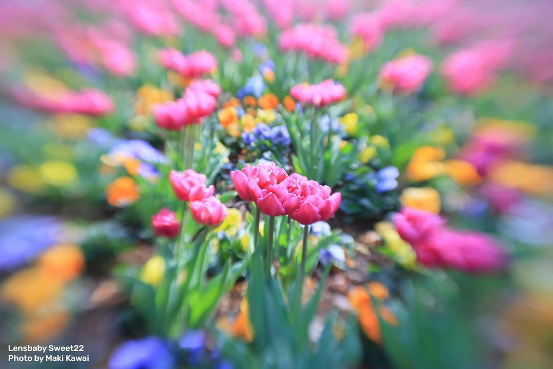 LensBaby - Mirrorless Sweet 22 - Standalone-Objektiv für Fuji X - Kreativfilter - Sport On Focus Eff