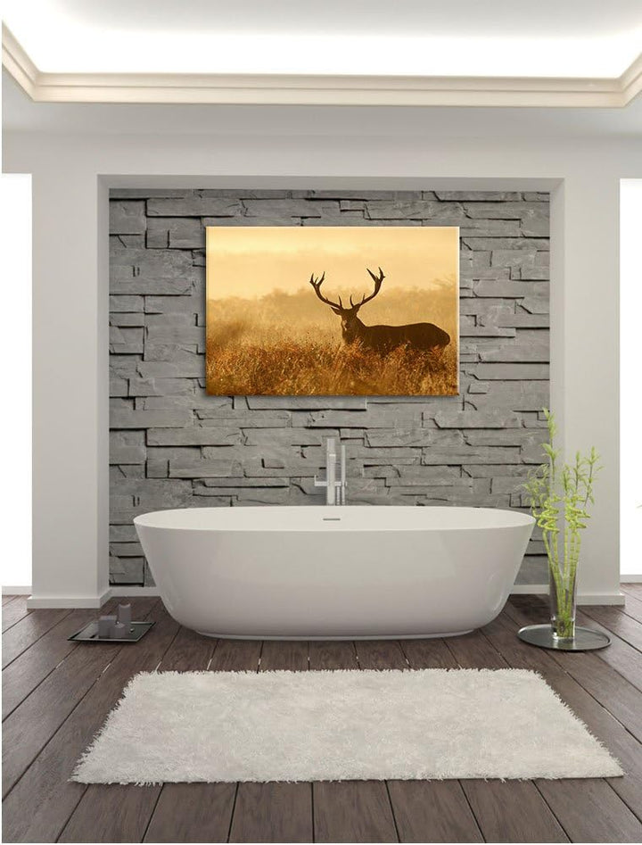 Pixxprint Rotwild Hirsch in Abenddämmerung als Leinwandbild/Grösse: 100x70 cm/Wandbild/Kunstdruck/fe