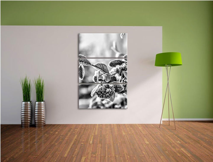 Pixxprint Monocrome, Vogelbeeren im Winter 3-Teiler Leinwandbild 120x80 Bild auf Leinwand