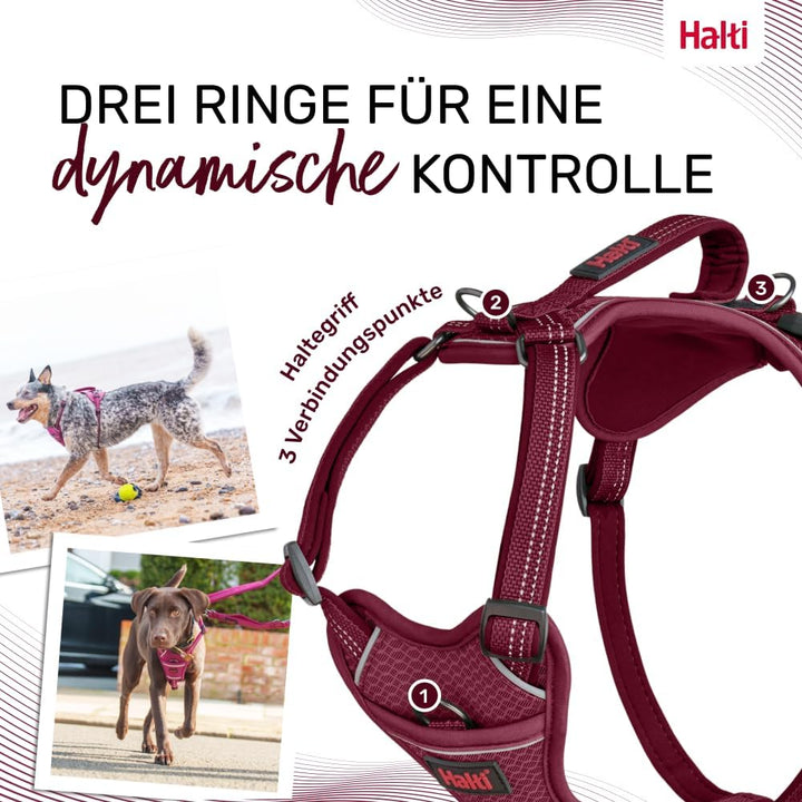 HALTI Anatomy Hundegeschirr mit Griff – Bewegungsfreiheit für deinen Hund. 3 Verbindungspunkte für d