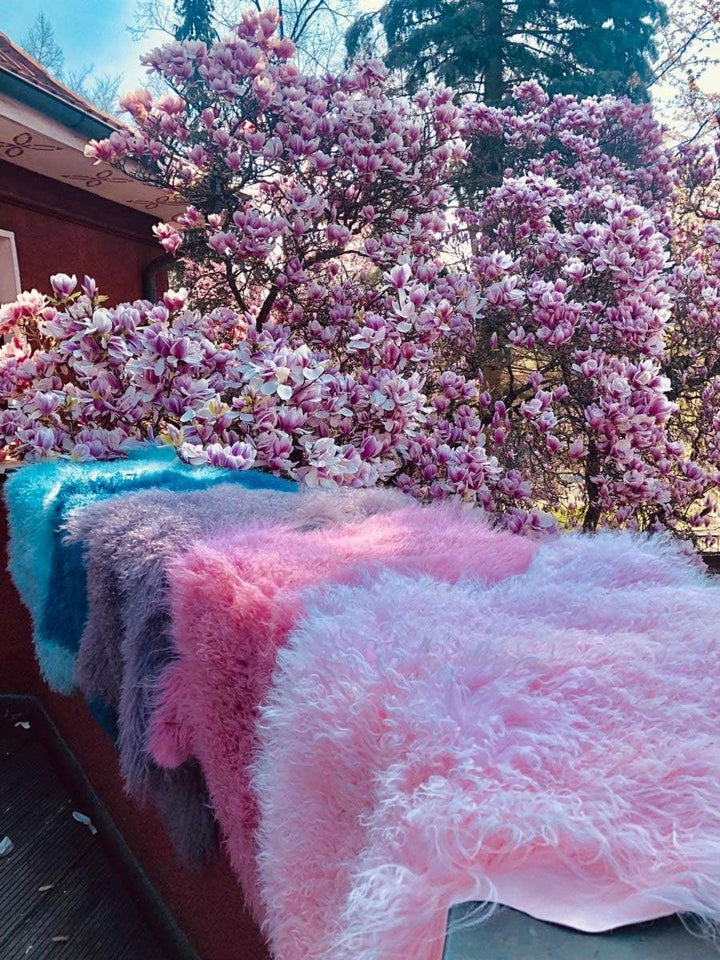 Hollert Lammfell Tibet Sheepskin Monglolisches Schaffell gelockt sehr weich Echtfell Dekoration Läuf