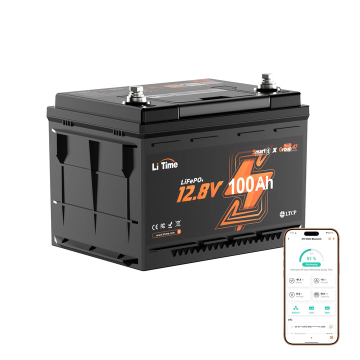 LiTime LiFePO4 12V 100Ah Bluetooth Lithium Batterie, DIN H5 Untersitz-Akku (168mm Höhe) mit 100A BMS