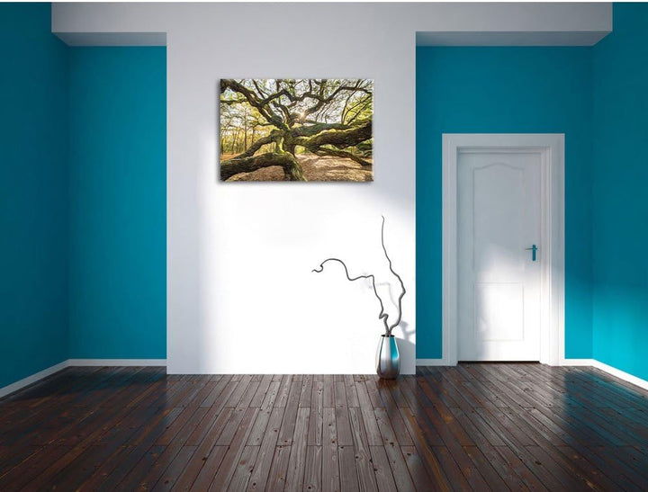 Pixxprint gigantisch verzweigter Baum / 100x70cm Leinwandbild bespannt auf Holzrahmen/Wandbild Kunst