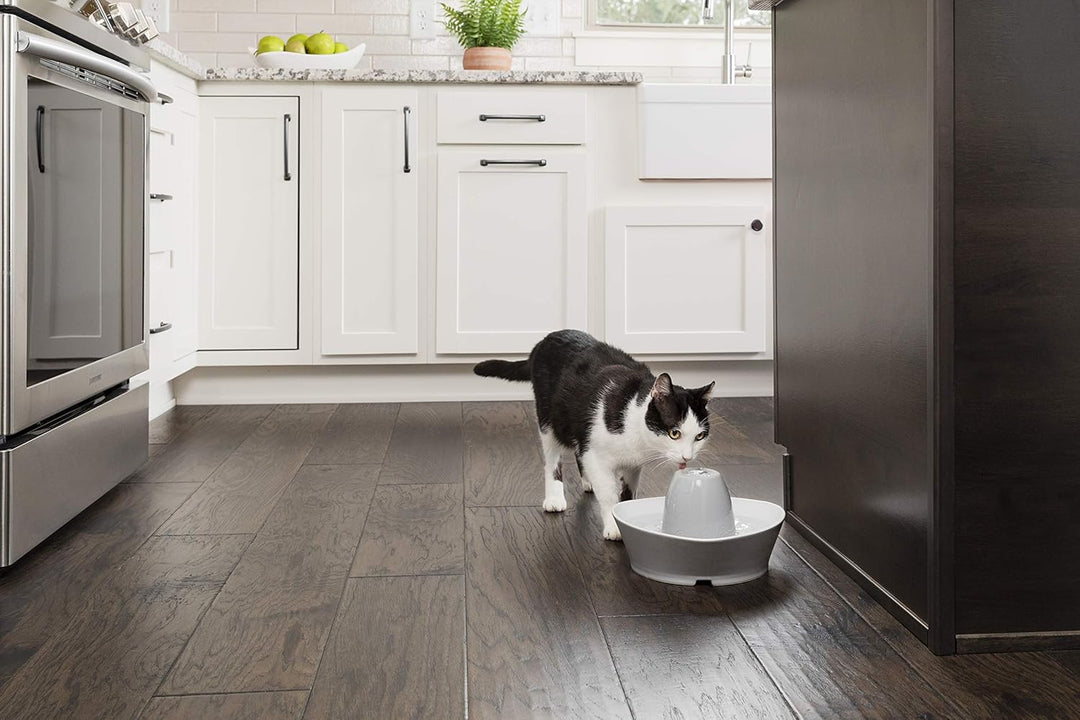 PetSafe Keramik-Trinkbrunnen Streamside, Für Katzen und kleine Hunde geeignet, Leiser Betrieb, 1,8 L