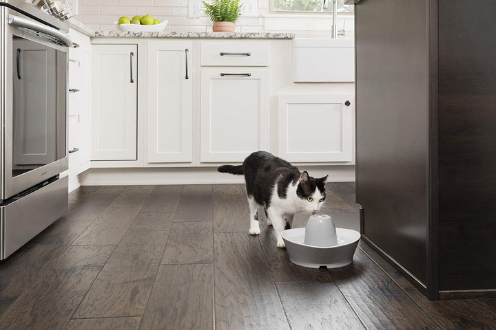 PetSafe Keramik-Trinkbrunnen Streamside, Für Katzen und kleine Hunde geeignet, Leiser Betrieb, 1,8 L