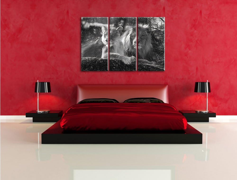 Pixxprint interessiertes Löwenpaar Kunst als Leinwandbild/Grösse: 3 Teilig (120x80) / Wandbild/Kunst