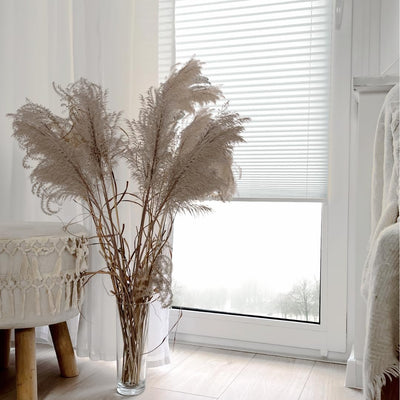 Home-Vision® Premium Plissee Faltrollo ohne Bohren mit Klemmträger / -fix (Weiss, B95cm x H120cm) Bl
