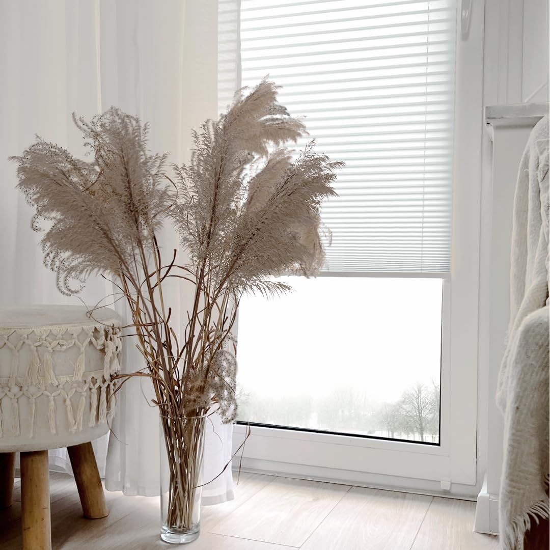 Home-Vision® Premium Plissee Faltrollo ohne Bohren mit Klemmträger / -fix (Weiss, B85cm x H100cm) Bl