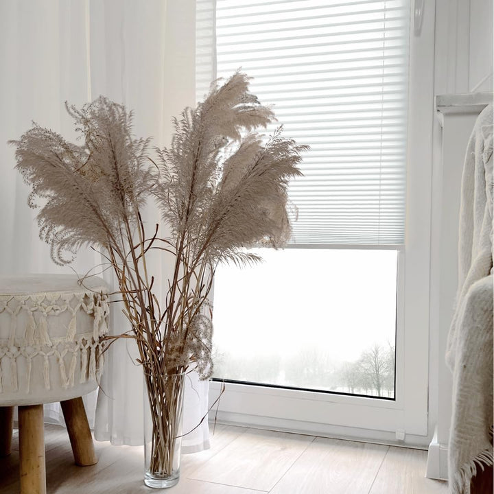 Home-Vision® Premium Plissee Faltrollo ohne Bohren mit Klemmträger / -fix (Weiss, B85cm x H100cm) Bl