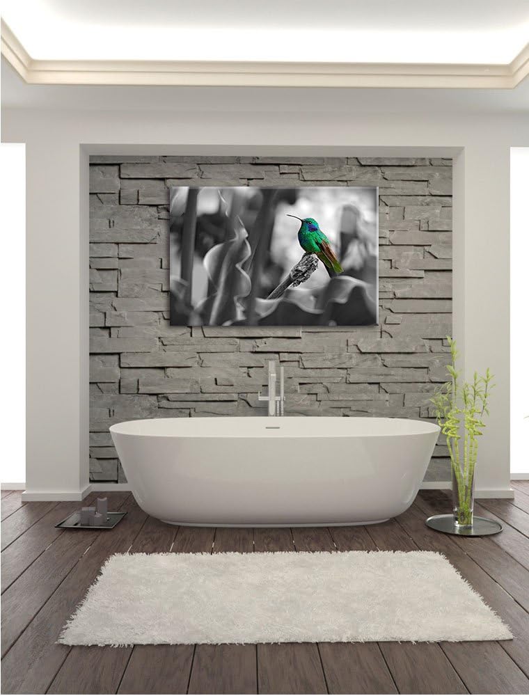 Pixxprint Kolibri in seinem Lebensraum als Leinwandbild/Grösse: 100x70 / Wandbild/Kunstdruck/fertig