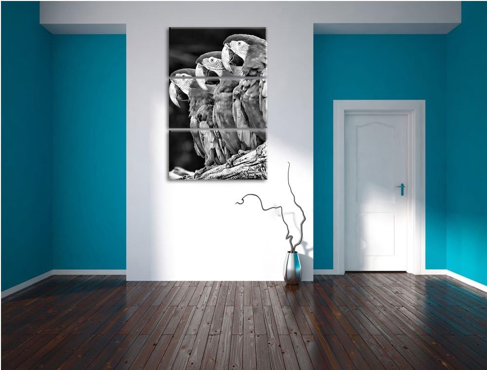 Papageien auf AST als Leinwandbild/Grösse: 3 Teilig (120x80) cm/Wandbild/Kunstdruck/fertig bespannt