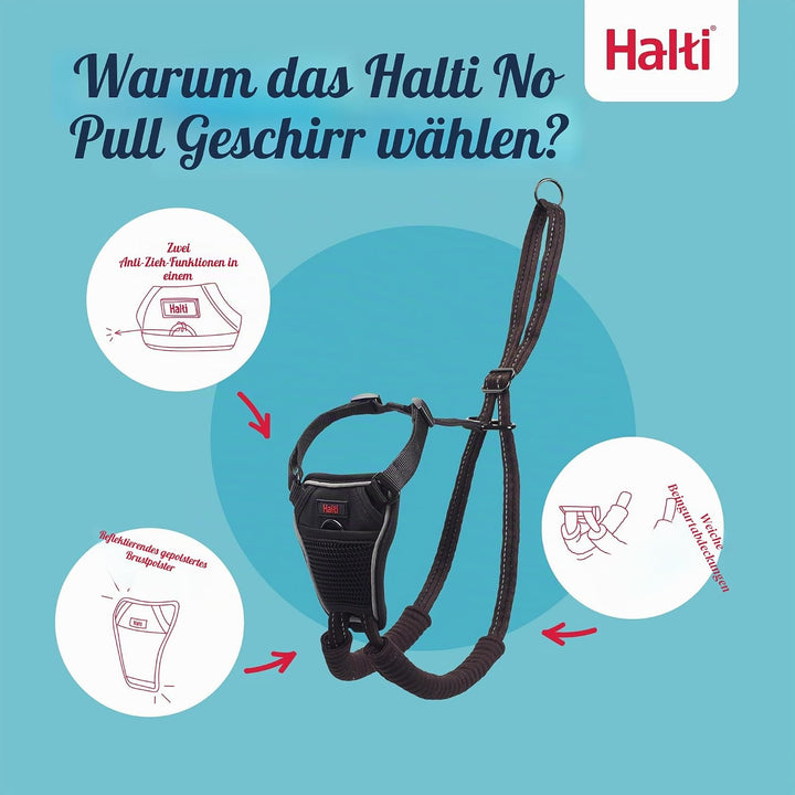 Halti No Pull Geschirr und Trainingsleine Kombipack, stoppt Hund beim Ziehen auf Spaziergängen mit H