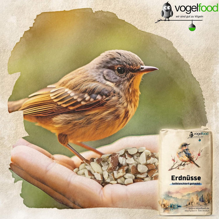 Erdnüsse teilblanchiert gehackt 10 kg geviertelt Vogelfutter Igelfutter
