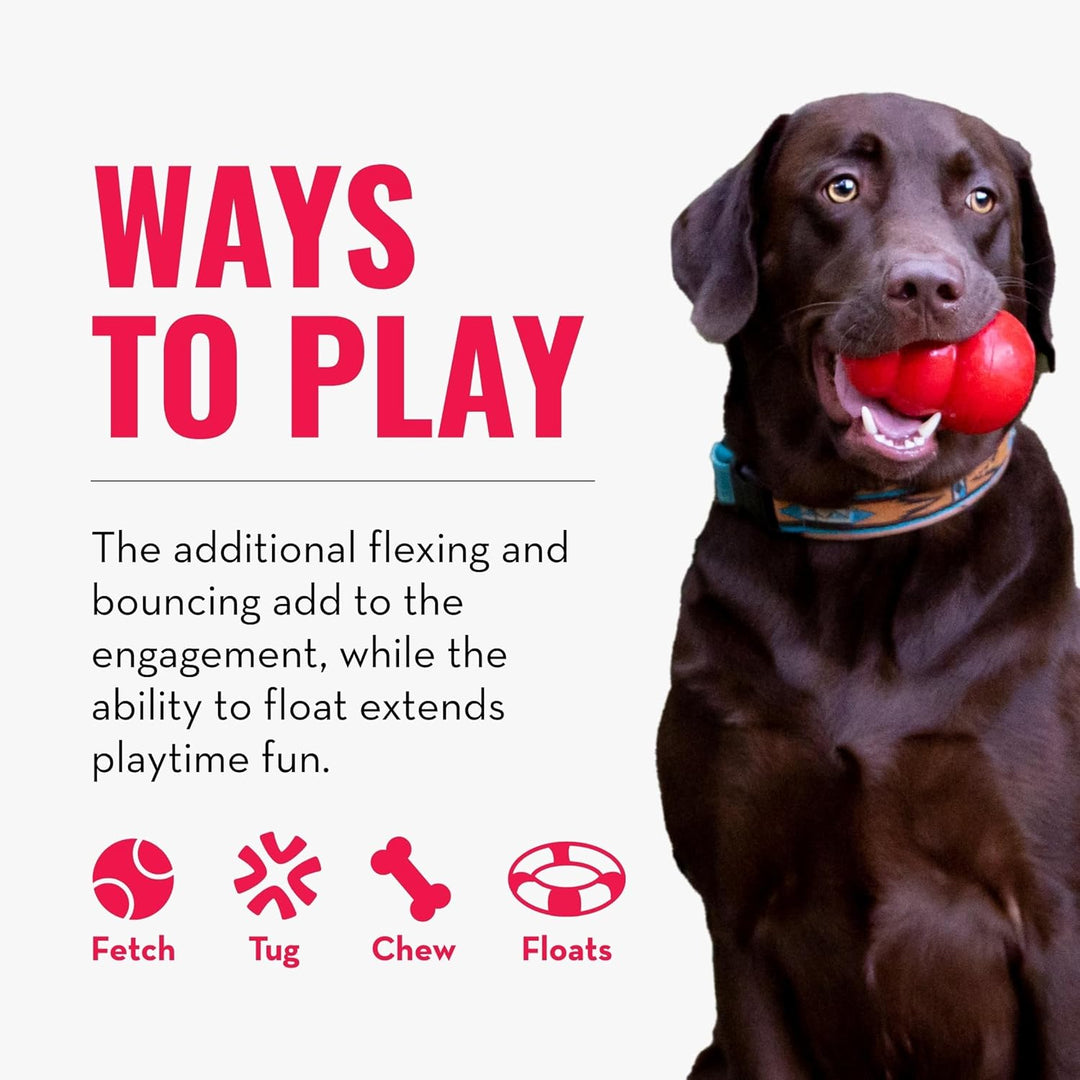 KONG – SafeStix – Robustes Apportierspielzeug aus Flexiblem, Sicherem Material – Für Kleine Hunde Sm