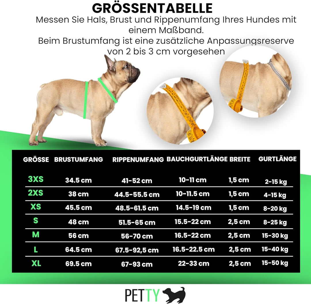 Petty Store -Leuchtharnisch für Hunde, wasserdicht, 3 Farben – Geschirr mit LED, USB-Aufladung bis z