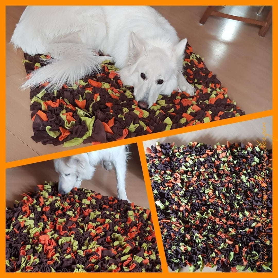 Schnüffelteppich, Schnüffelmatte, Schnüffelwiese, Hund,Katze, Training, Spielzeug, hochwertige Handa