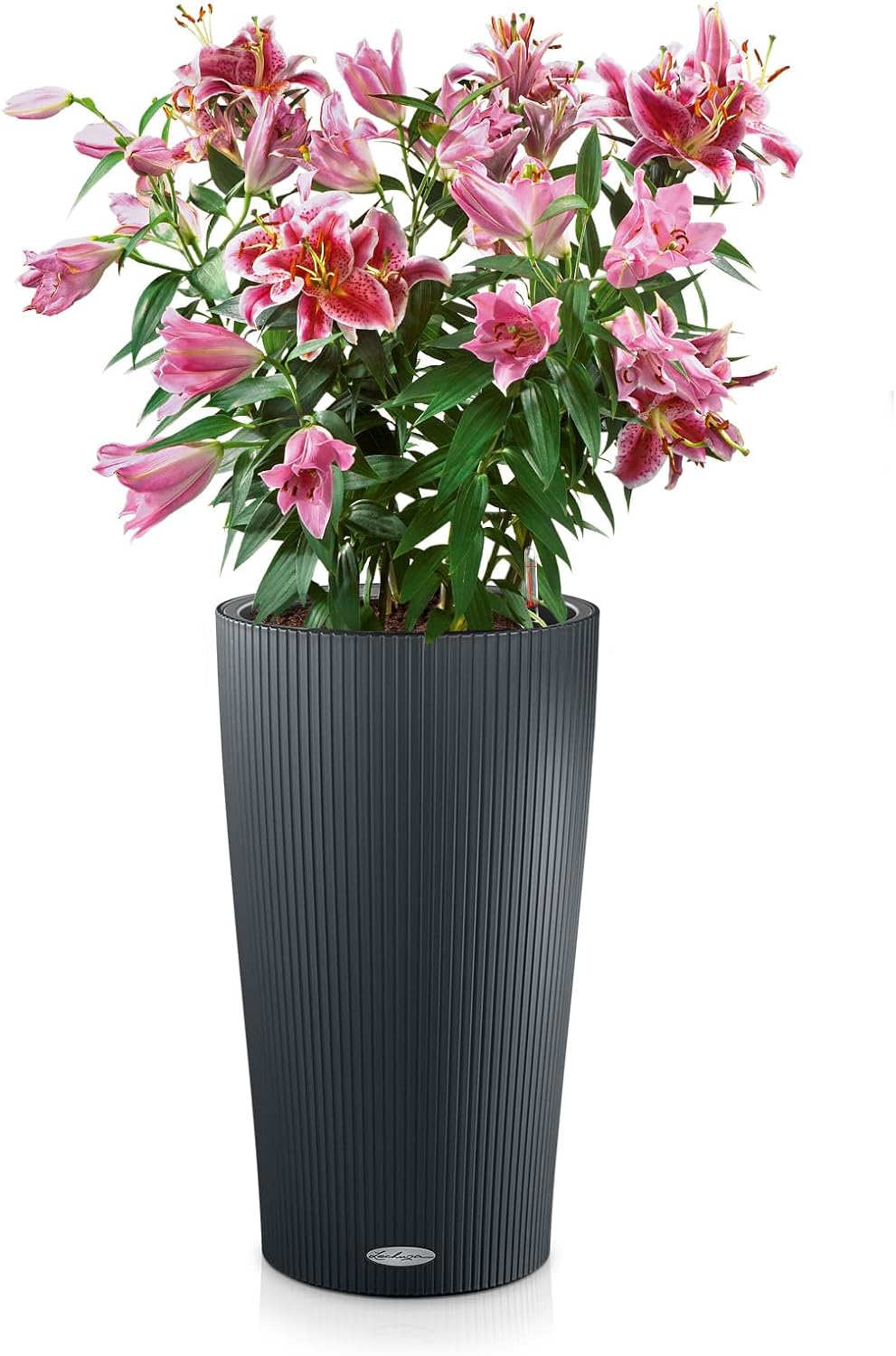 LECHUZA CILINDRO Color 32 schiefergrau 13953 32x32x56 cm Schiefergrau, 32x32x56 cm Schiefergrau