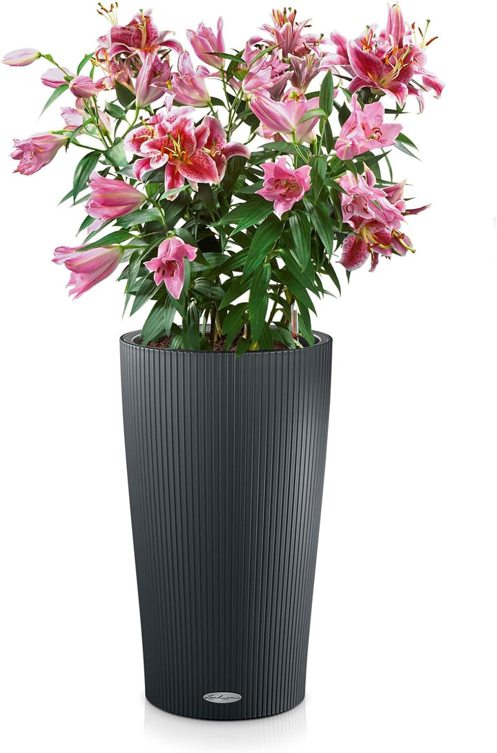 LECHUZA CILINDRO Color 32 schiefergrau 13953 32x32x56 cm Schiefergrau, 32x32x56 cm Schiefergrau