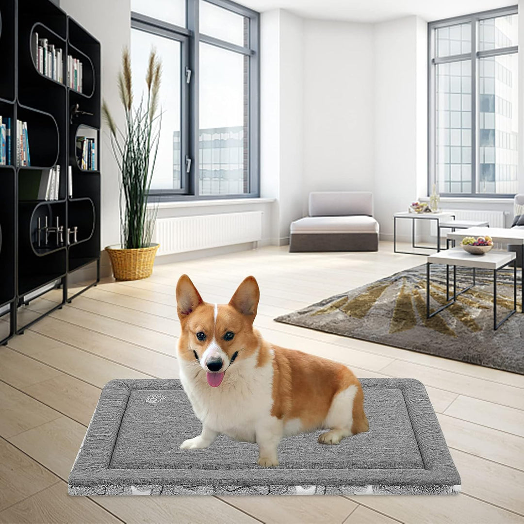 EMPSIGN Hundebett Mittelgrosse Hunde, Waschbar Hundekissen (kühl und warm), Hundematte aus hochdicht