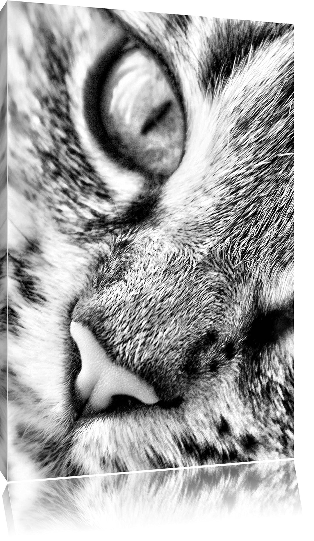 Pixxprint Grosse Katzenaugen / 100x70cm Leinwandbild bespannt auf Holzrahmen/Wandbild Kunstdruck Dek