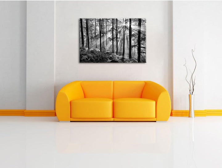 Pixxprint Sonnenstrahlen im Wald / 100x70cm Leinwandbild bespannt auf Holzrahmen/Wandbild Kunstdruck