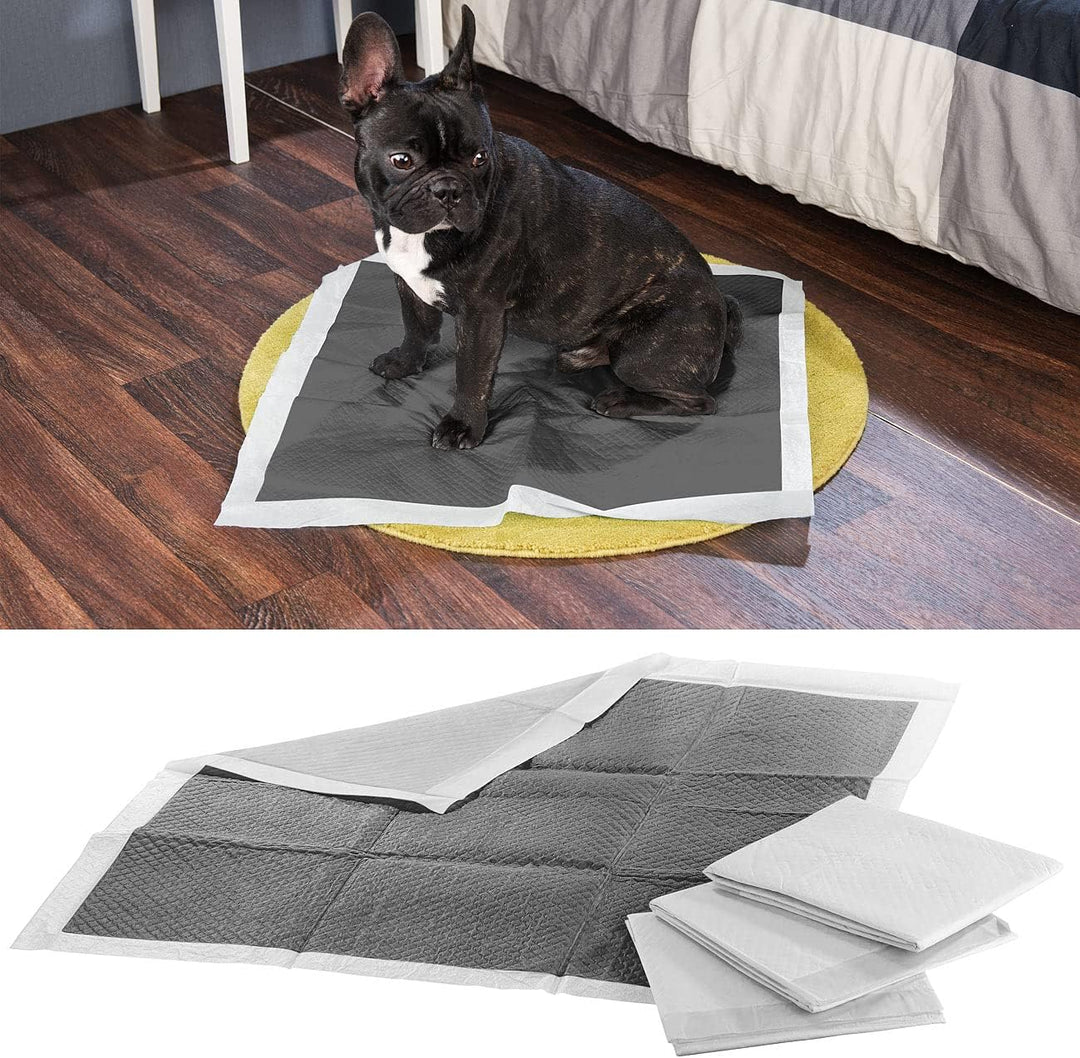Sweetypet Hundematte: 180er-Set Welpen-Trainingsunterlagen mit Kohlenstoffschicht, 60x60 cm (Hunde-T