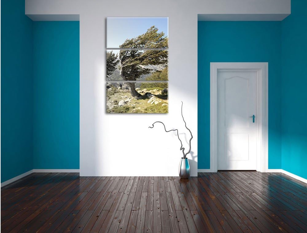Pixxprint Alter Schiefer Baum in den Bergen schwarz/weiss 3-Teiler Leinwandbild 120x80 Bild auf Lein