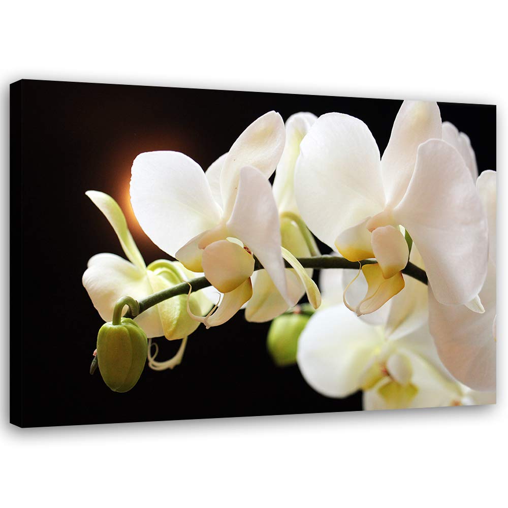 Feeby Wandbild Blumen Druckbild Leinwandbild für Schlafzimmer Weiss 100x70 cm Leinwandbild 100x70 cm