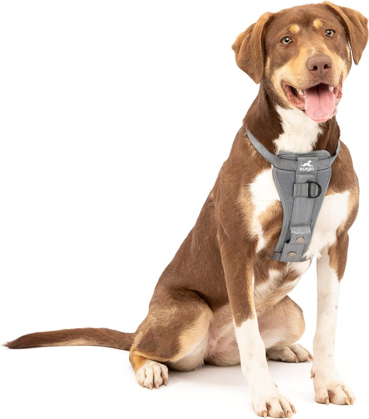 Kurgo Tru-Fit Hundegeschirr, Crash-Test-erprobtes Auto-Sicherheitsgurt, Für Hunde von 2 bis 5 kg, Gr