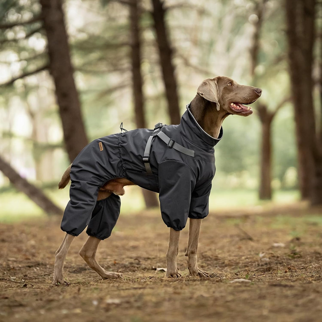 Regenmantel Hund mit Geschirr Wasserdicht für Kleine, Mittlere und Grosse Hunde, Reflektierender Reg