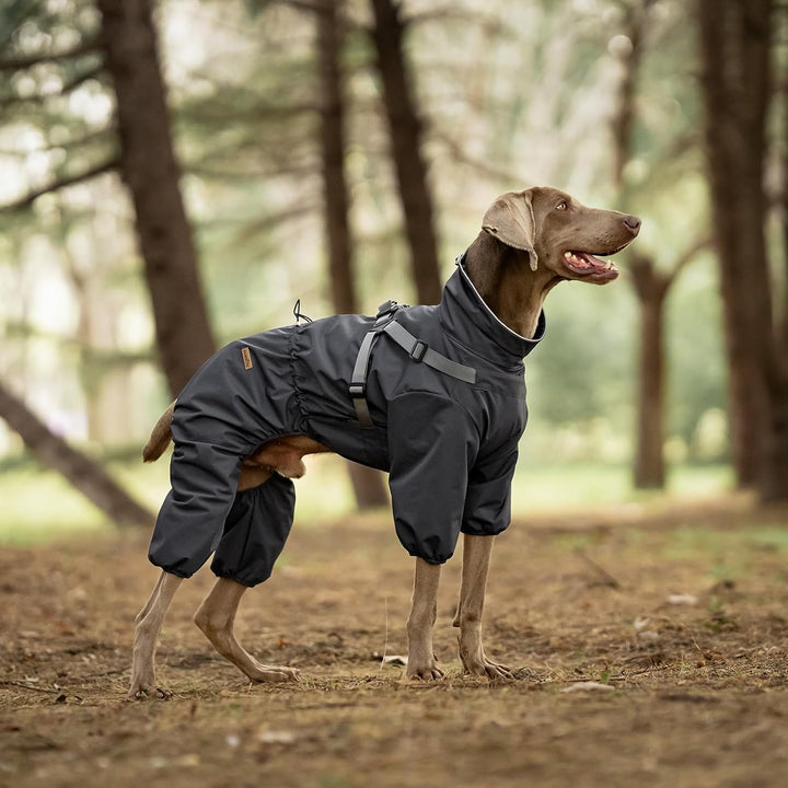Regenmantel Hund mit Geschirr Wasserdicht für Kleine, Mittlere und Grosse Hunde, Reflektierender Reg