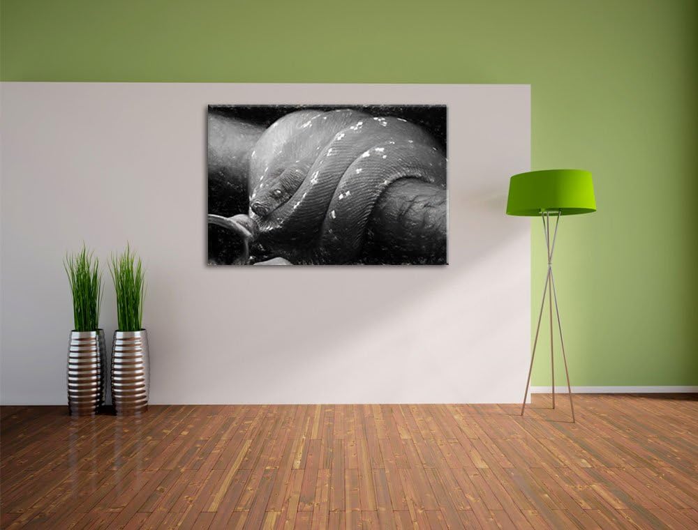 Pixxprint Grüne exotische Schlange als Leinwandbild/Grösse: 100x70 cm/Wandbild/Kunstdruck/fertig bes