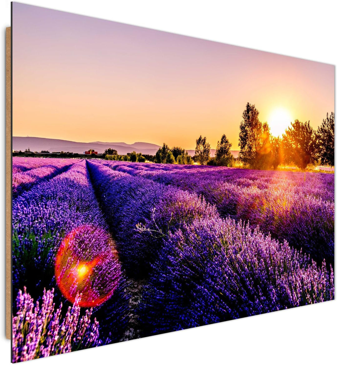 Feeby. Wandbilder - 1 Teilig- 78x118 cm - Bilder Kunstdrucke Deko Panel, WIESE, LAVENDEL, NATUR, VIO