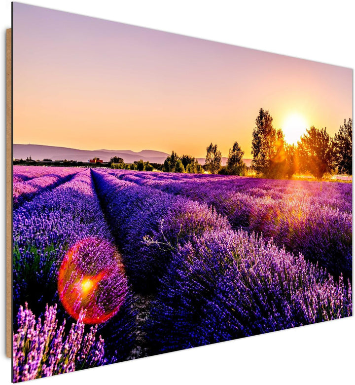 Feeby. Wandbilder - 1 Teilig- 78x118 cm - Bilder Kunstdrucke Deko Panel, WIESE, LAVENDEL, NATUR, VIO