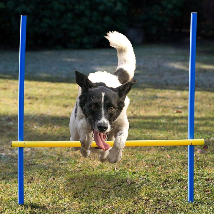 Agility Set für individuelles Hundetraining, Hürden und Slalomstangen mit massiven Erdnägeln, Hundes