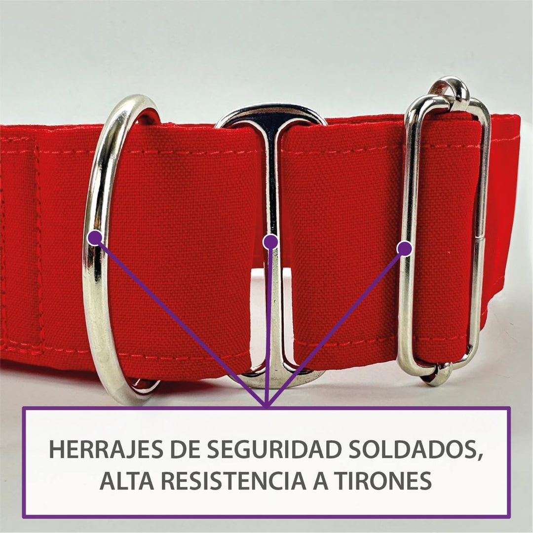 Galguita Amelie, 4 cm Breite Grösse S (20-29 cm), Hundehalsband, Anti-Flucht, Captain Stern 4cm Anch