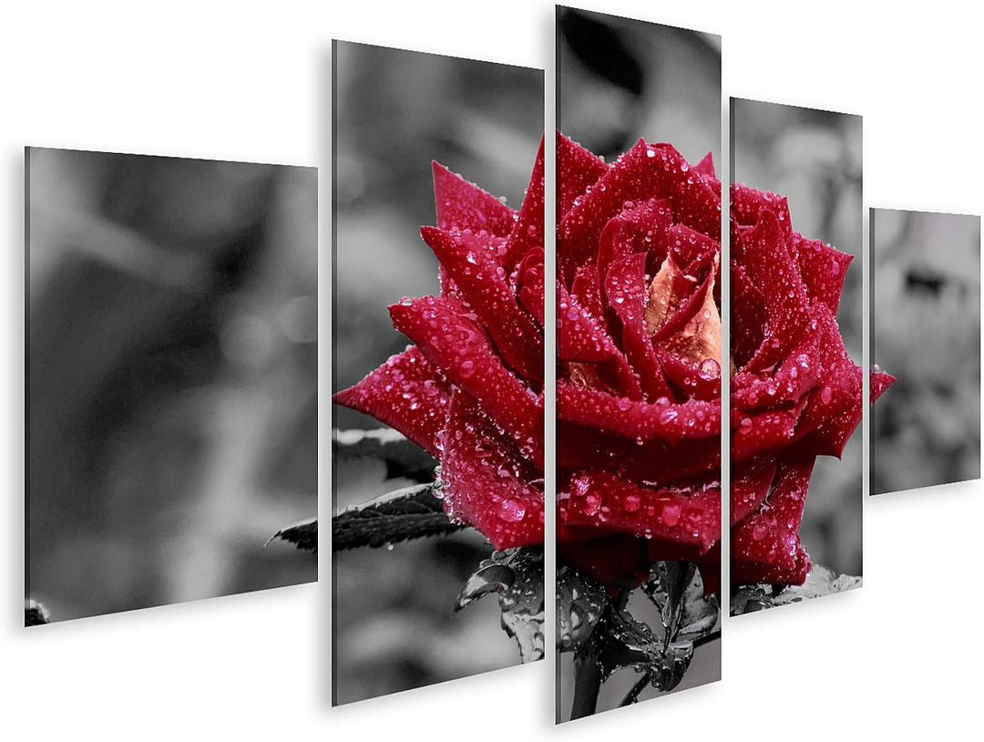 islandburner Bild auf Leinwand Rote Rose Mit Wassertropfen Auf Grauem Hintergrund Bilder Wandbilder