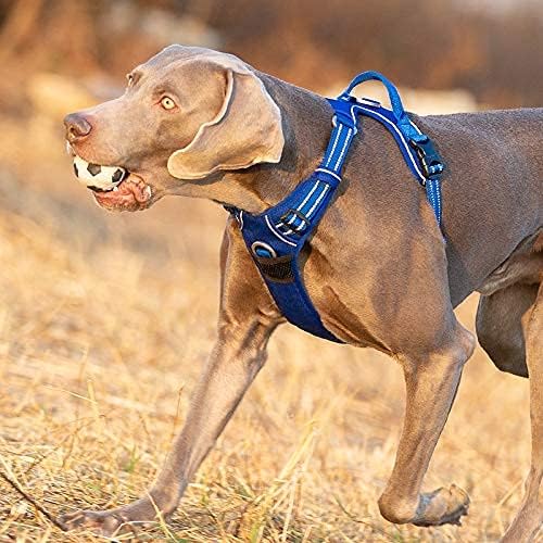 Truelove No Pull Hundegeschirr, reflektierendes Hundegeschirr für Hunde, verstellbare weich gepolste